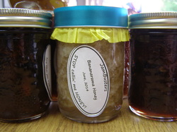 Photo of Bananarama Honey in a jar.